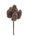 Melrose Pine Cone Bundle (Set of 12)