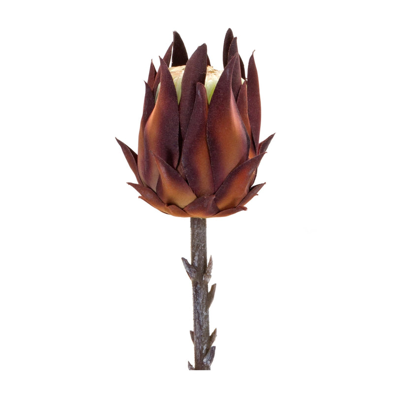 Melrose Burgandy Protea Stem (Set of 6)