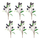 Melrose Plum Pod Spray (Set of 6)