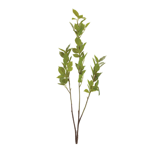 Melrose Leaf Foliage Branch (Set of 6)