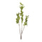 Melrose Leaf Foliage Branch (Set of 6)