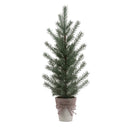 Melrose Potted Mini Pine Tree (Set of 2)