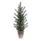 Melrose Potted Mini Pine Tree (Set of 2)