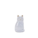 Melrose Sitting Cat Figurine (Set of 6) Multicolor Decor Home Accent