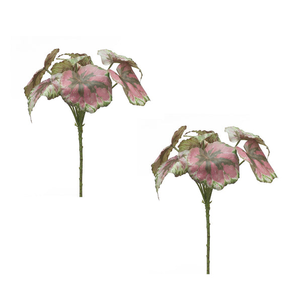 Melrose Varigated Begonia Leaf Bush (Set of 2)