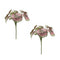 Melrose Varigated Begonia Leaf Bush (Set of 2)