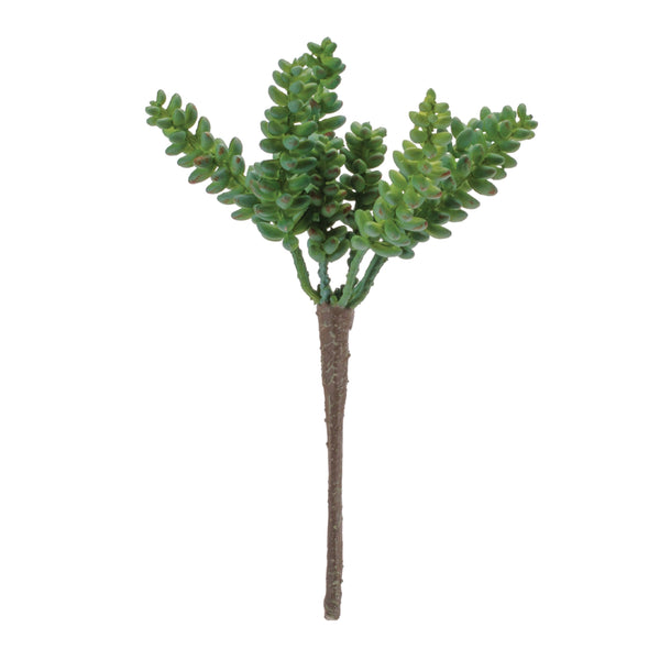 Melrose Succulent Plant Pick (Set of 6)