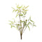 Melrose Mini Fern Foliage Bush with Sprout Accent (Set of 6)