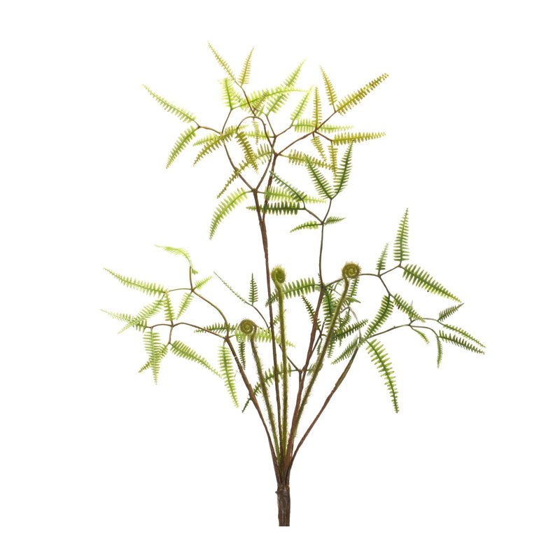 Melrose Mini Fern Foliage Bush with Sprout Accent (Set of 6)