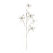 Melrose Butterfly Twig Spray (Set of 4)