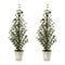 Melrose Potted Mini Pine Tree (Set of 2)