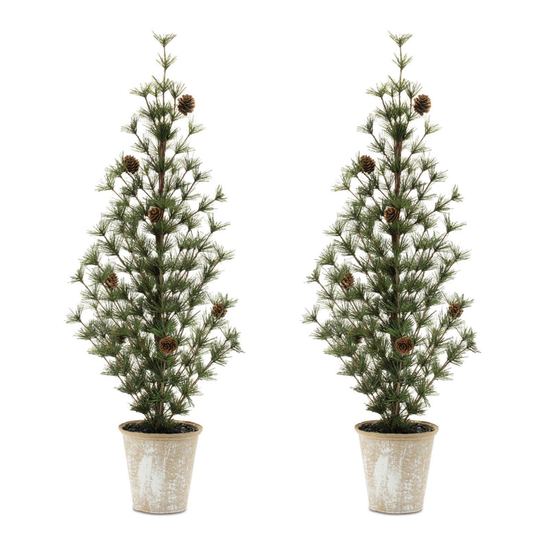 Melrose Potted Mini Pine Tree (Set of 2)