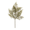 Melrose Cedar Spray (Set of 6)
