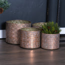 Melrose Ornate Geometric Metal Planter Set of 4 Planter
