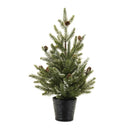 Melrose Potted Mini Pine Tree (Set of 2)