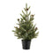 Melrose Potted Mini Pine Tree (Set of 2)