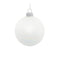 Melrose Iridescent Glass Ball Ornament (Set of 12)