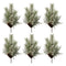 Melrose Pine with Tallow Berry Spray (Set of 6)