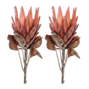 Melrose Red Protea Flower Stem (Set of 2)