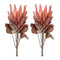 Melrose Red Protea Flower Stem (Set of 2)