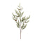 Melrose Icy Pine Spray with Pinecones (Set of 2)