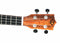 Twisted Wood SE-900C Sierra Concert Ukulele Cedar Top Koa B&S w/ Gig Bag
