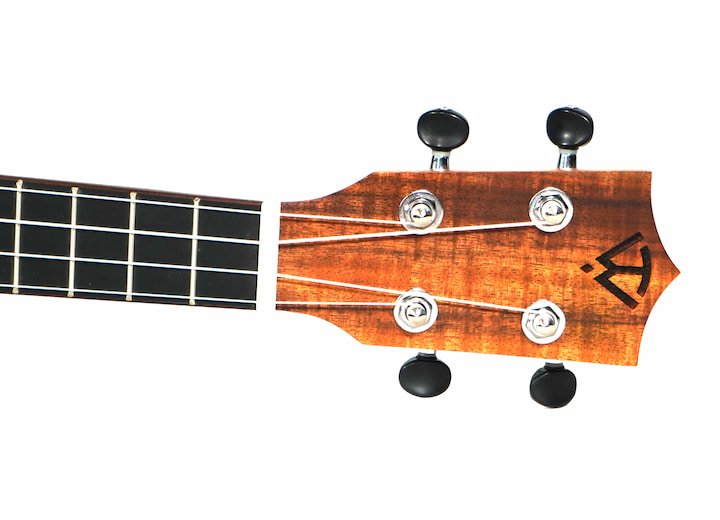Twisted Wood SE-900C Sierra Concert Ukulele Cedar Top Koa B&S w/ Gig Bag