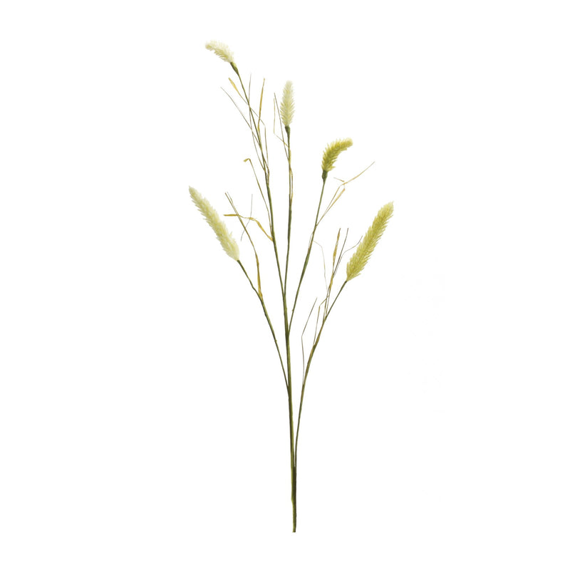 Melrose Foxtail Spray (Set of 6)