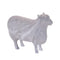 Melrose Distressed Farm Animal Figurine (Set of 4)