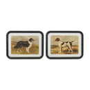 Melrose Framed Country Dog Print Wall Decor, Modern, Rustic, Wood