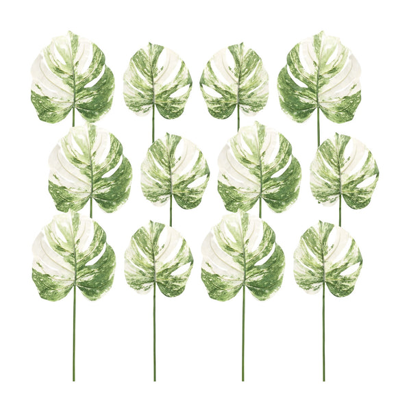 Melrose Light Varigated Philo Leaf Stem (Set of 12)