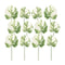 Melrose Light Varigated Philo Leaf Stem (Set of 12)