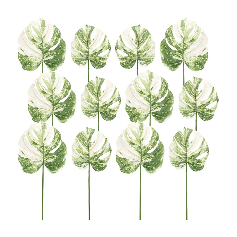 Melrose Light Varigated Philo Leaf Stem (Set of 12)