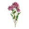 Melrose Mum Floral Spray (Set of 4)