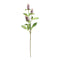 Melrose Buddleia Floral Stem (Set of 6)