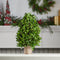 Melrose Natural Boxwood Foliage Topiary 15.5"H