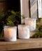 Melrose Frosted Votive Candle Holder with Snowy Forest (Set of 12)