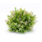 Melrose Varigated Mini Leaf Half Orb (Set of 6)