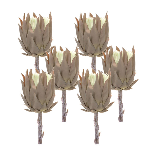 Melrose Beige Protea Stem (Set of 6)