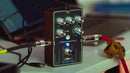 Trondheim SkarBassOne Analog Bass Preamp and Multiband Overdrive Pedal