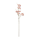 Melrose Berry Pod Spray (Set of 6)