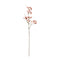 Melrose Berry Pod Spray (Set of 6)