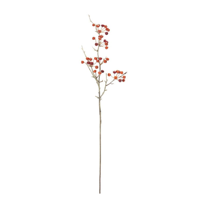 Melrose Berry Pod Spray (Set of 6)