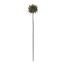 Melrose Brown Sunflower Stem (Set of 6)