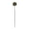 Melrose Brown Sunflower Stem (Set of 6)