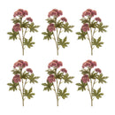 Melrose Sedum Succulent Spray (Set of 6)