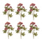 Melrose Sedum Succulent Spray (Set of 6)