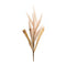 Melrose Foxtail Plume Stem (Set of 2)