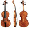 GEWA Walther 11 “Rom Antique” Concert Viola 15.5″ – Master Ackert Design