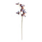 Melrose Butterfly Spray (Set of 6)